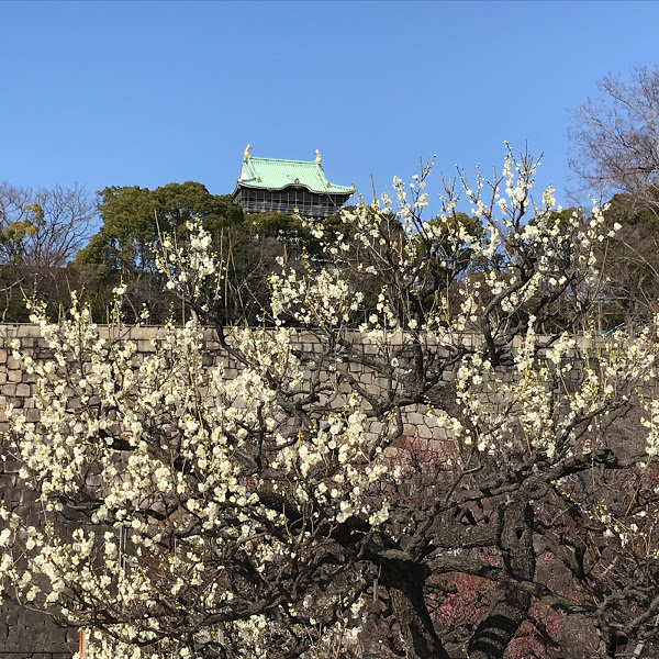 f:id:s_tenpa:20210213231923j:plain