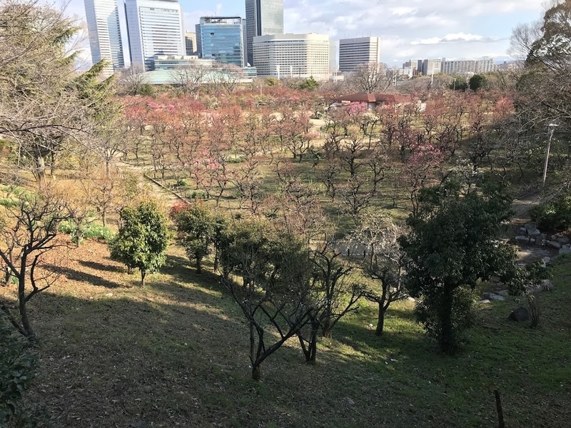 f:id:s_tenpa:20210213231931j:plain