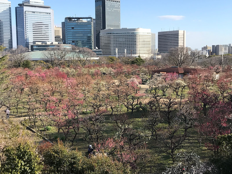 f:id:s_tenpa:20210216165622j:plain