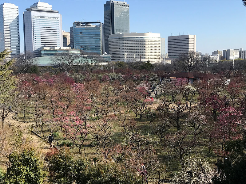 f:id:s_tenpa:20210216165627j:plain