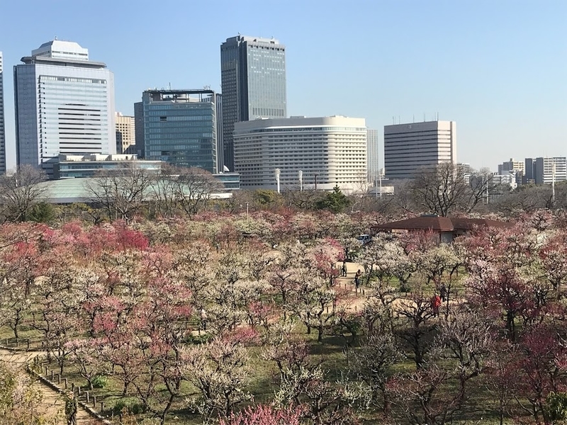 f:id:s_tenpa:20210311163134j:plain