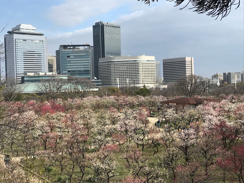 f:id:s_tenpa:20210311163436j:plain