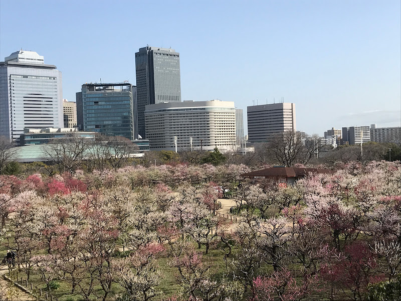 f:id:s_tenpa:20210311163704j:plain