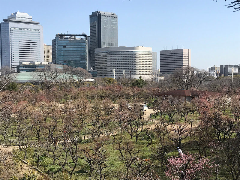 f:id:s_tenpa:20210311164024j:plain