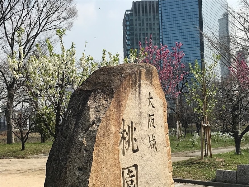 f:id:s_tenpa:20210315194559j:plain