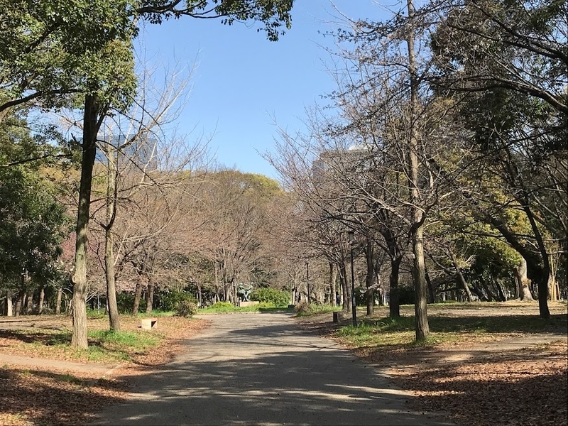 f:id:s_tenpa:20210318180313j:plain