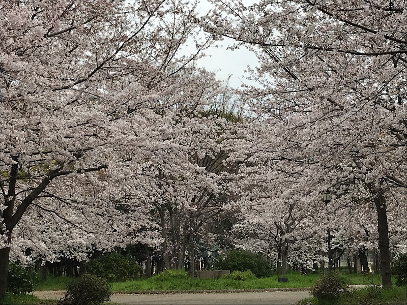 f:id:s_tenpa:20210325224721j:plain