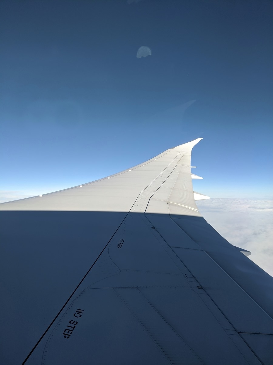 f:id:s_yuka:20200629175236j:plain f:id:s_yuka:20200629175236j:plain