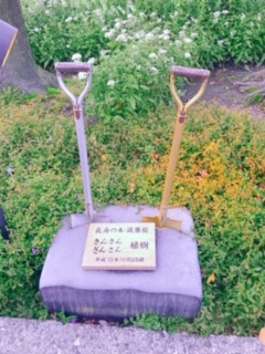 f:id:sa-sami:20190101142731j:plain f:id:sa-sami:20190101142731j:plain