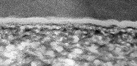 f:id:sa06ya26:20210228225132p:plain