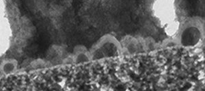 f:id:sa06ya26:20210228225222p:plain