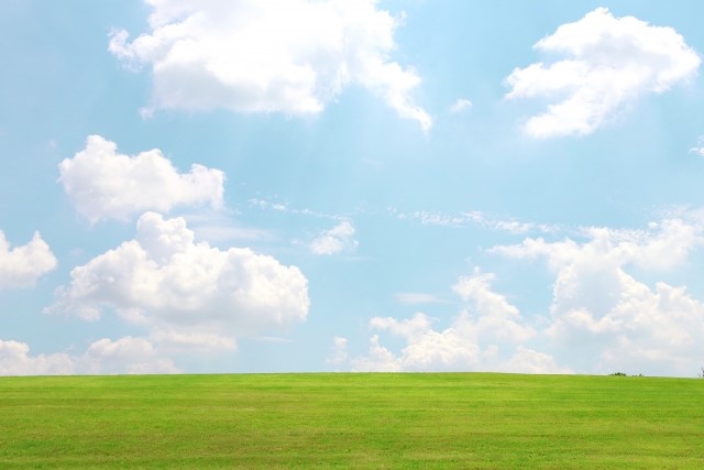 f:id:sa0o4i8:20200225220233j:plain f:id:sa0o4i8:20200225220233j:plain