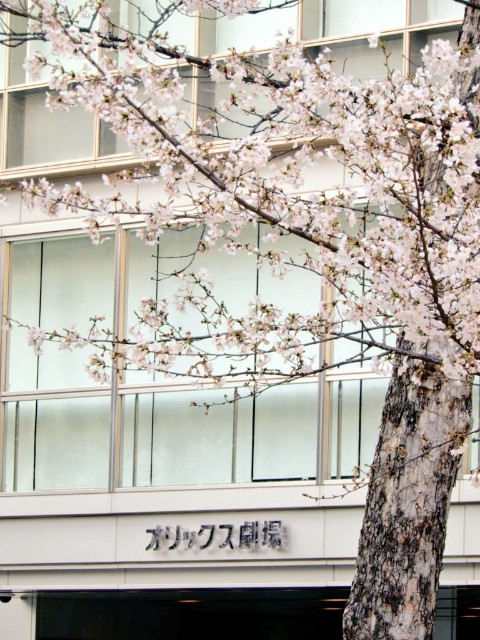 f:id:sa10_pi_gatary:20220621010253j:image