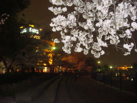 f:id:sa10kazu:20120412072754j:image