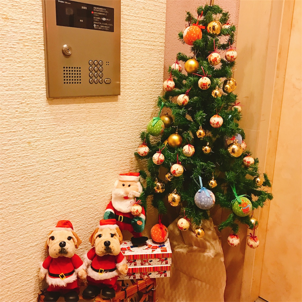 f:id:sa4533:20161203152453j:image f:id:sa4533:20161203152453j:image