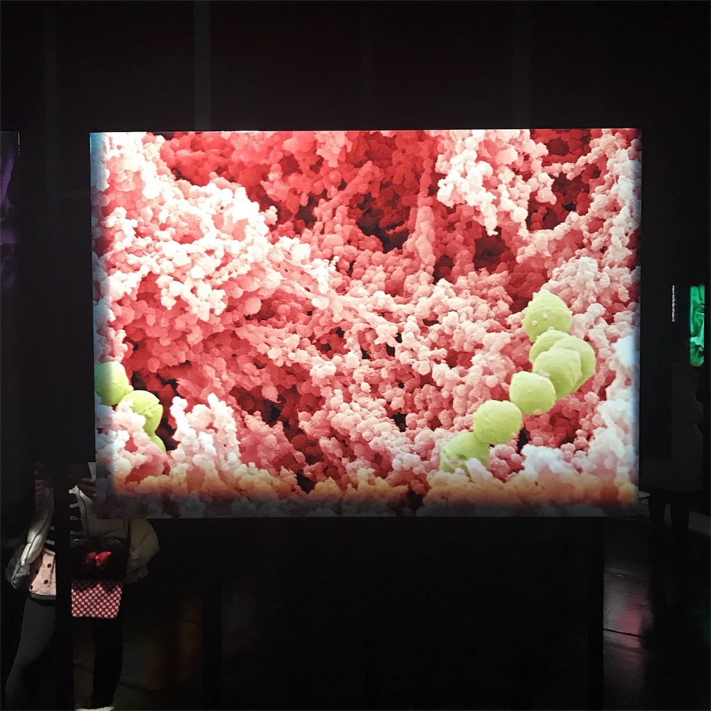 f:id:sa4533:20170107155420j:image f:id:sa4533:20170107155420j:image