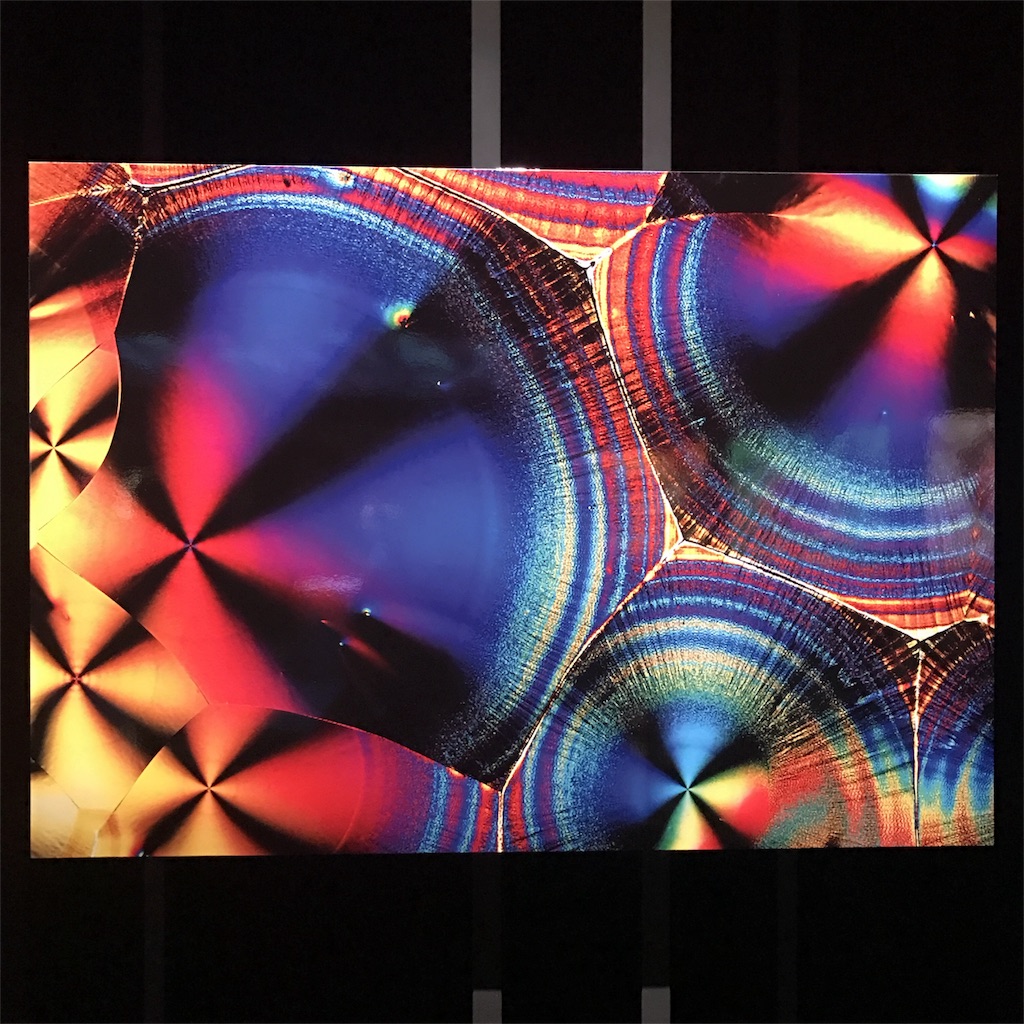 f:id:sa4533:20170107155717j:image f:id:sa4533:20170107155717j:image