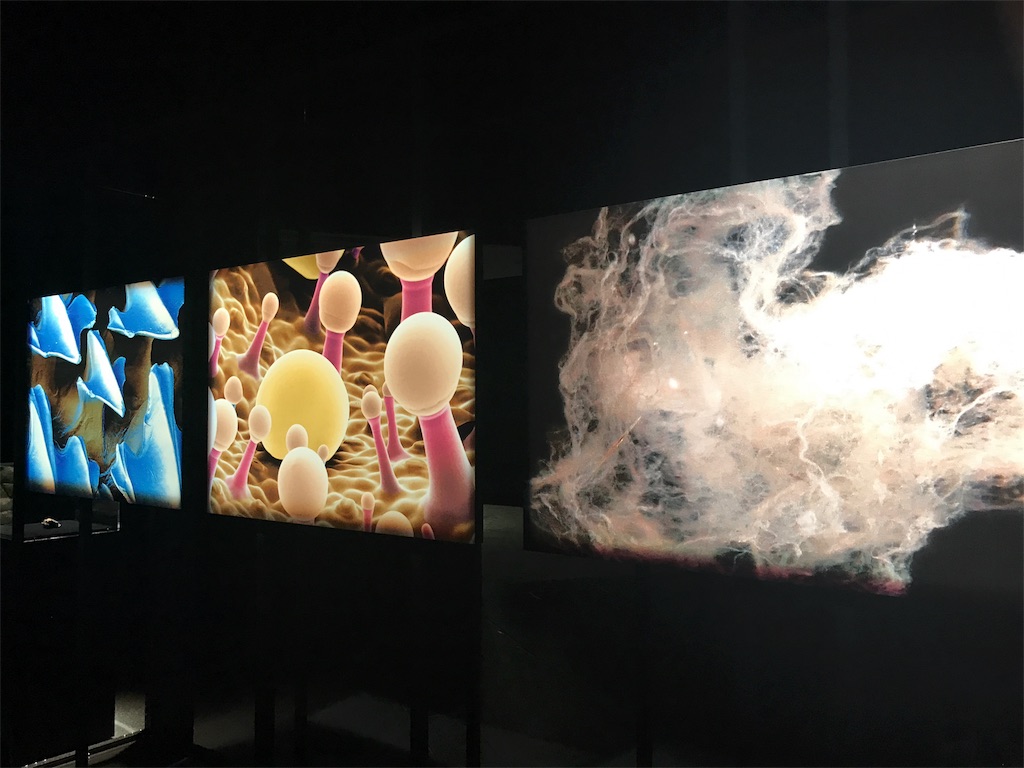 f:id:sa4533:20170107155937j:image f:id:sa4533:20170107155937j:image