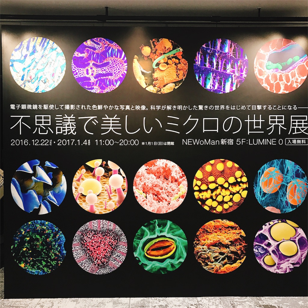 f:id:sa4533:20170114191008j:image f:id:sa4533:20170114191008j:image