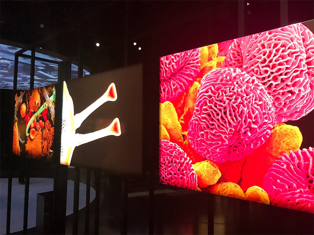 f:id:sa4533:20170114191752j:image f:id:sa4533:20170114191752j:image