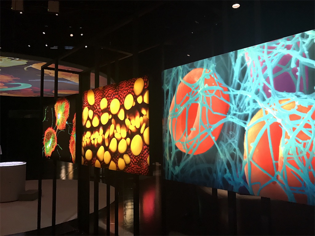 f:id:sa4533:20170114191813j:image f:id:sa4533:20170114191813j:image