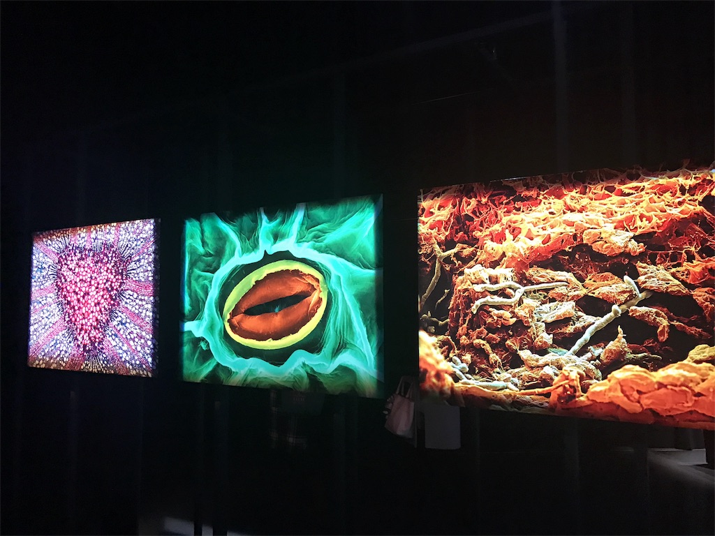 f:id:sa4533:20170114191838j:image f:id:sa4533:20170114191838j:image