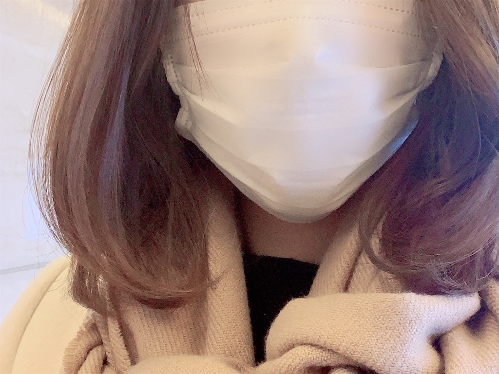 f:id:sa4533:20201220135655j:image