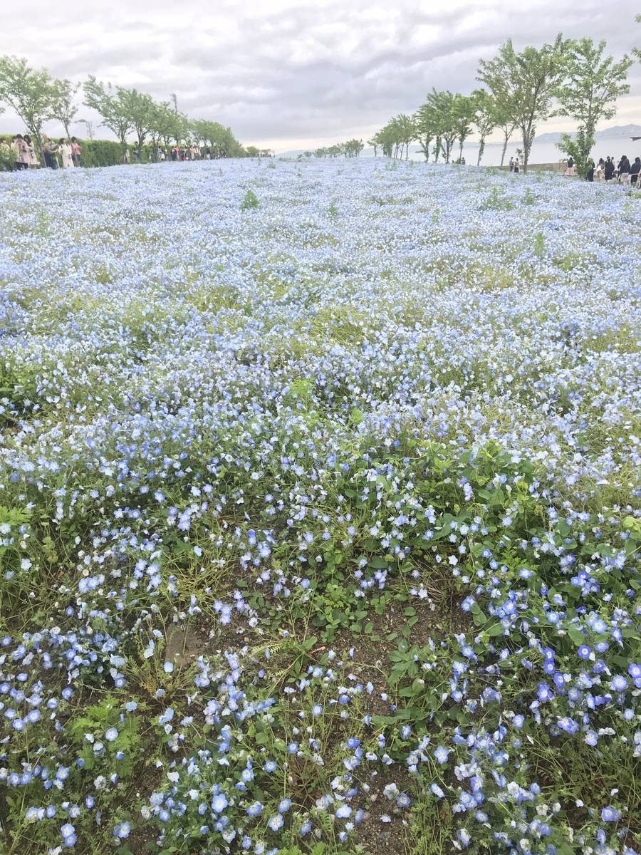 f:id:saMIsa:20190502020158j:plain