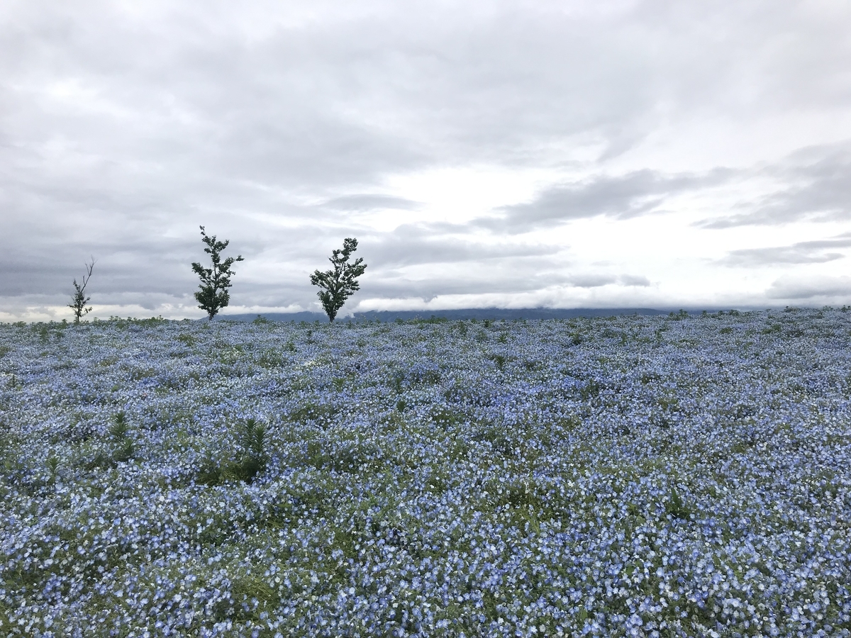 f:id:saMIsa:20190502020248j:plain