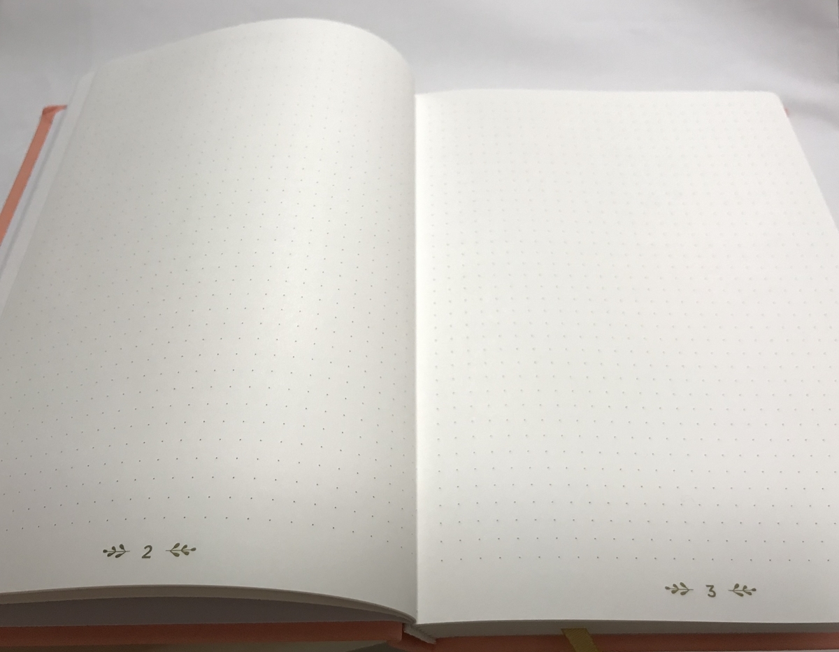 f:id:saMIsa:20190602002018j:plain