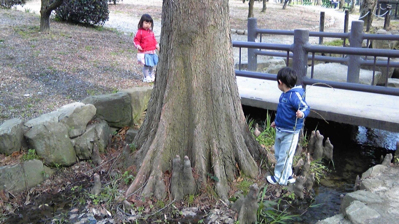 また沼杉にて