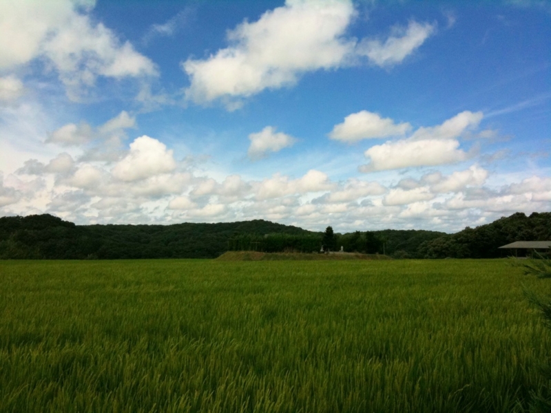 吉川は空が近い