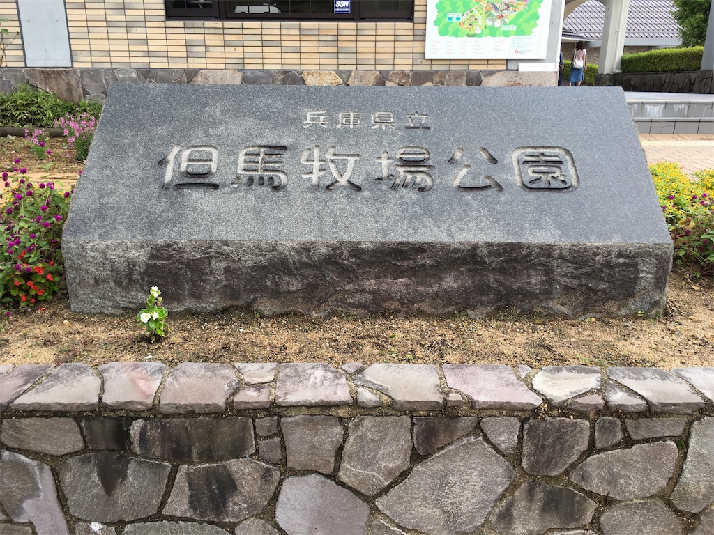 f:id:sa_life:20180918124720j:image