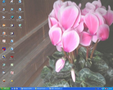 f:id:sa_to_e:20070112211029j:image f:id:sa_to_e:20070112211029j:image
