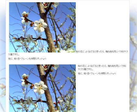 f:id:sa_to_e:20070418200905j:image:w500 f:id:sa_to_e:20070418200905j:image:w500