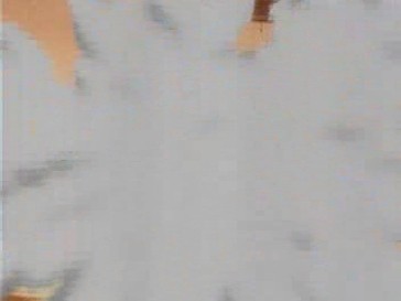 f:id:sa_to_e:20080228160832j:image