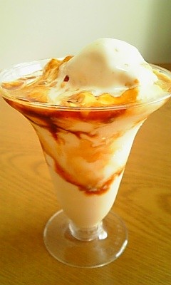 f:id:sa_to_e:20080820210219j:image
