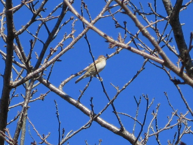 f:id:sa_to_e:20081113114137j:image:w50