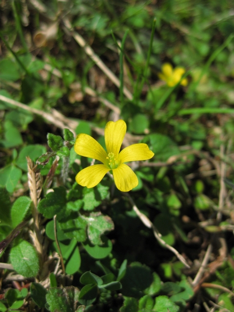 f:id:sa_to_e:20081113121004j:image:h50