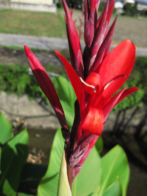 f:id:sa_to_e:20081113121431j:image:h50