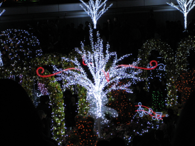 f:id:sa_to_e:20081130234244j:image:w200