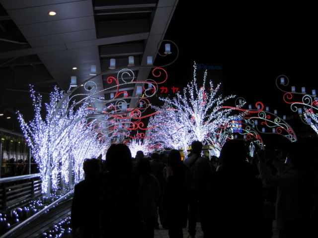 f:id:sa_to_e:20081130234245j:image:w200 f:id:sa_to_e:20081130234245j:image:w200