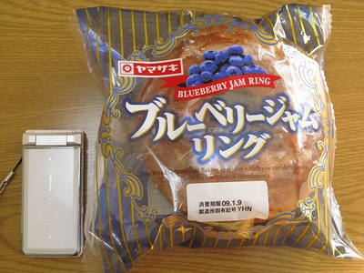 f:id:sa_to_e:20090106210919j:image