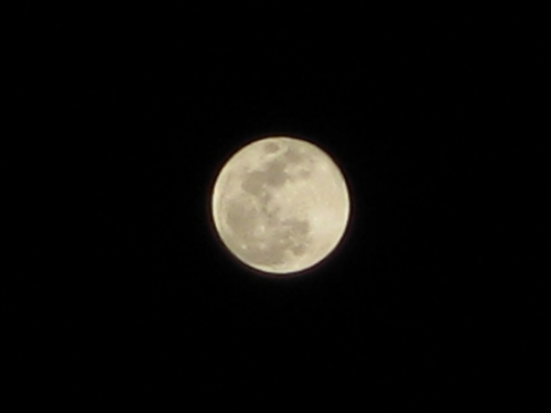 f:id:sa_to_e:20090111213335j:image