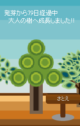 f:id:sa_to_e:20090318203913g:image