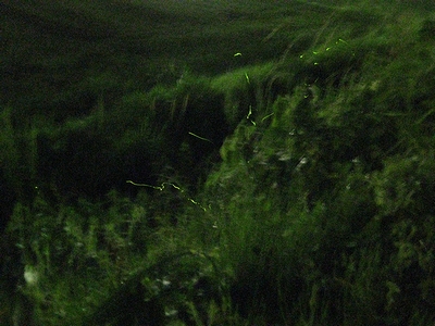 f:id:sa_to_e:20090612230624j:image f:id:sa_to_e:20090612230624j:image