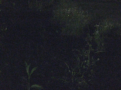 f:id:sa_to_e:20090612230651j:image f:id:sa_to_e:20090612230651j:image