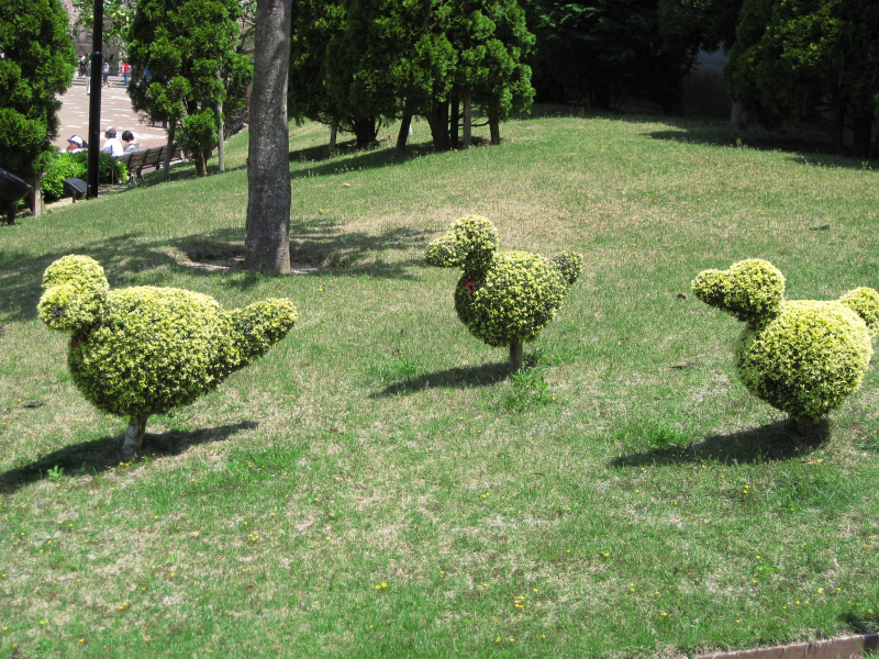 f:id:sa_to_e:20100508210256j:image:w400 f:id:sa_to_e:20100508210256j:image:w400