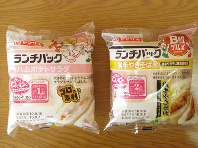 f:id:sa_to_e:20100910203644j:image