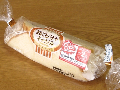 f:id:sa_to_e:20101028211215j:image